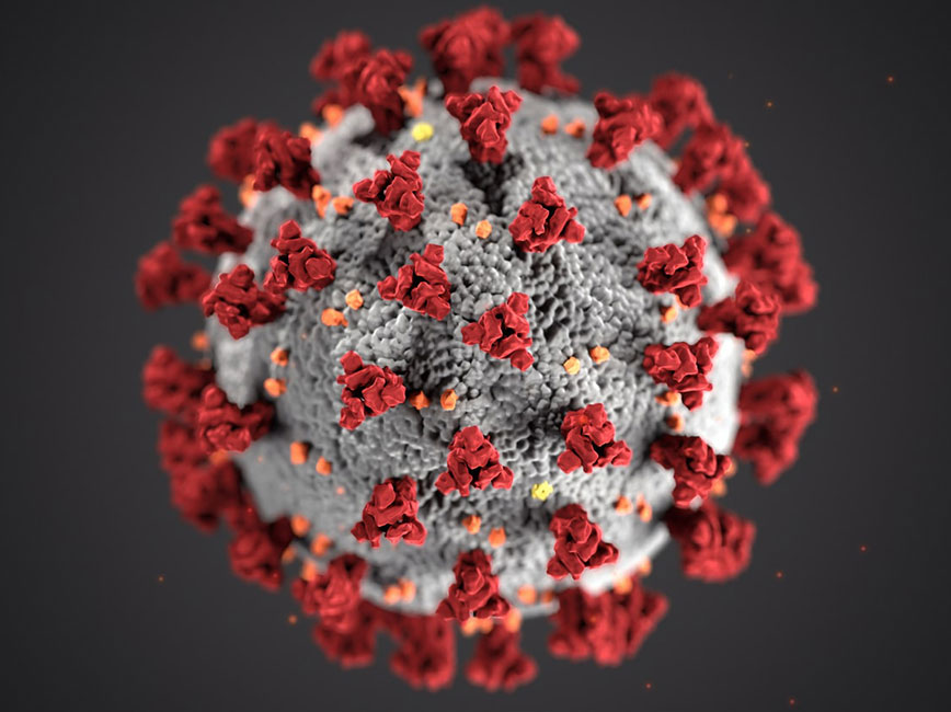 This illustration, created by the Centers for Disease Control and Prevention (CDC), shows the structure of the coronavirus. This illustration, created by the Centers for Disease Control and Prevention (CDC), shows the structure of the coronavirus.