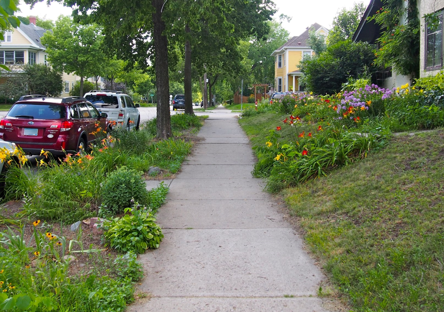 Sidewalk with flowers surrounding it Sidewalk with flowers surrounding it