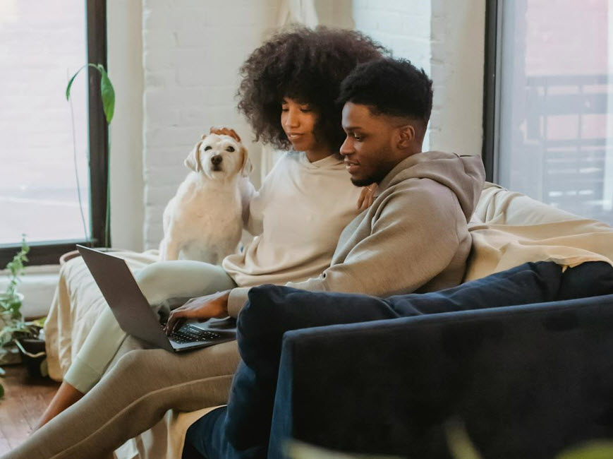 Two people on couch using laptop with dog nearby Two people on couch using laptop with dog nearby